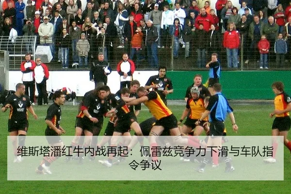 wei-si-ta-pan-hong-niu-nei-zhan-zai-qi-pei-lei-zi-jing-zheng-li-xia-hua-yu-che-dui-zhi-ling-zheng-yi-2-979.jpg