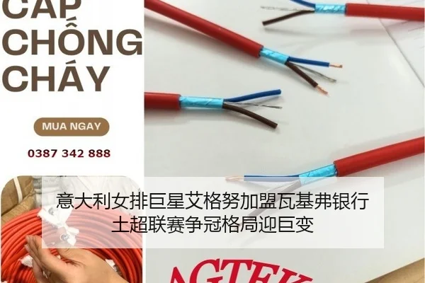 意大利女排巨星艾格努加盟瓦基弗银行 土超联赛争冠格局迎巨变