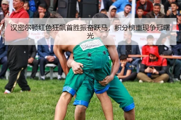 han-mi-er-dun-hong-se-kuang-biao-shou-sheng-zhen-fen-yue-ma-ji-fen-bang-chong-xian-zheng-guan-shu-guang-2-600.jpg